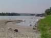 somslijktdedonaueenzwanenmeer_small.jpg