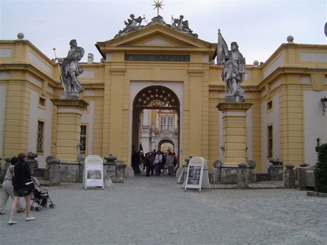 Photograph