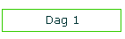 Dag 1