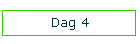Dag 4
