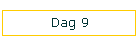 Dag 9