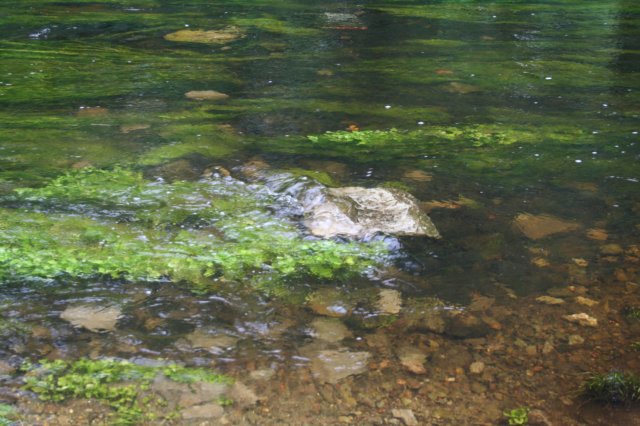 bandonriver2.jpg