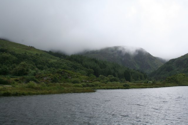 img_4503.jpg