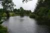 riverlee_small.jpg
