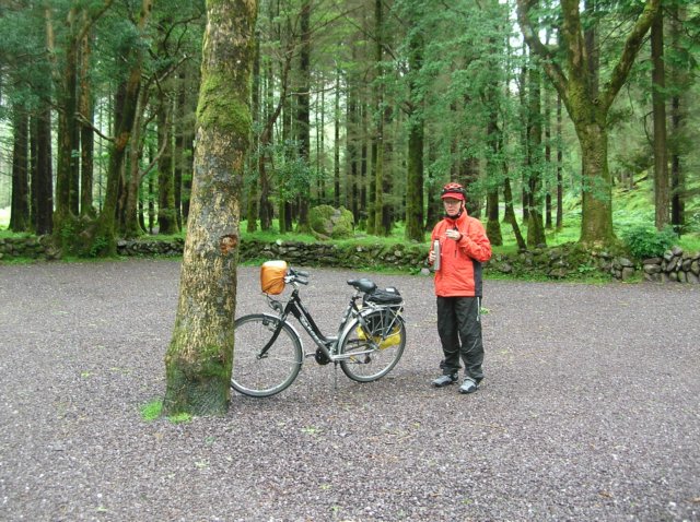 theepauzeintheforrest.jpg