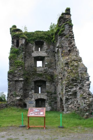 carriganasscastle.jpg