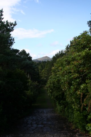 img_4751.jpg